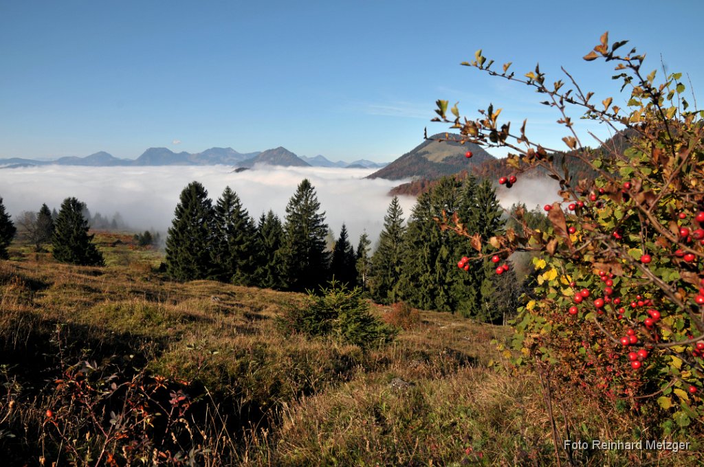 2010-10-09_5566 Inntal Oberaudorf.jpg